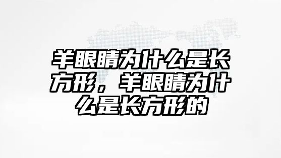 羊眼睛為什么是長方形，羊眼睛為什么是長方形的