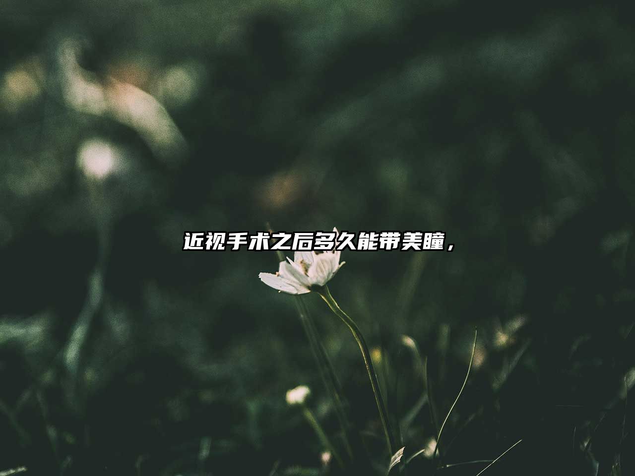 近視手術之后多久能帶美瞳，