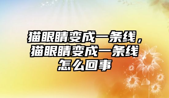 貓眼睛變成一條線，貓眼睛變成一條線怎么回事