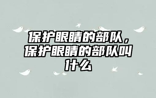 保護(hù)眼睛的部隊，保護(hù)眼睛的部隊叫什么