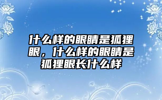 什么樣的眼睛是狐貍眼，什么樣的眼睛是狐貍眼長什么樣