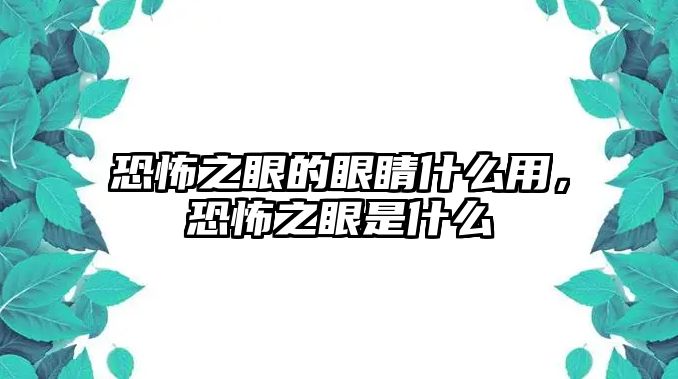 恐怖之眼的眼睛什么用，恐怖之眼是什么