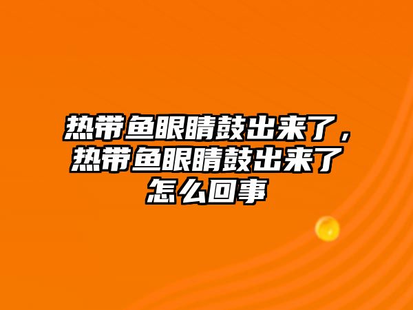 熱帶魚眼睛鼓出來了，熱帶魚眼睛鼓出來了怎么回事