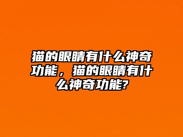 貓的眼睛有什么神奇功能，貓的眼睛有什么神奇功能?