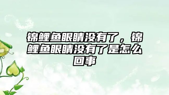 錦鯉魚眼睛沒有了，錦鯉魚眼睛沒有了是怎么回事