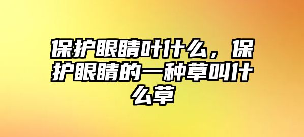 保護(hù)眼睛葉什么，保護(hù)眼睛的一種草叫什么草