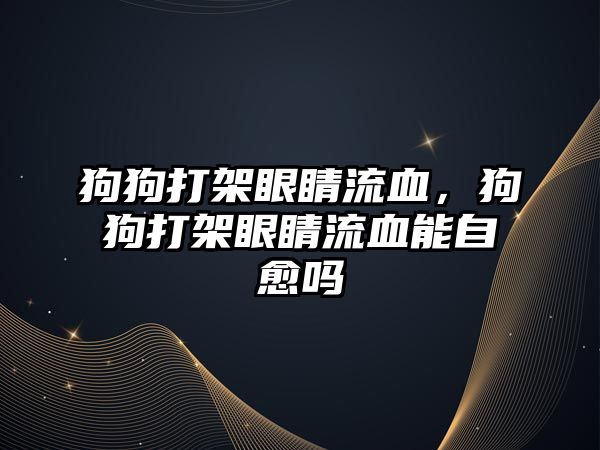 狗狗打架眼睛流血，狗狗打架眼睛流血能自愈嗎