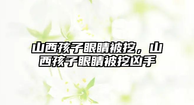 山西孩子眼睛被挖，山西孩子眼睛被挖兇手