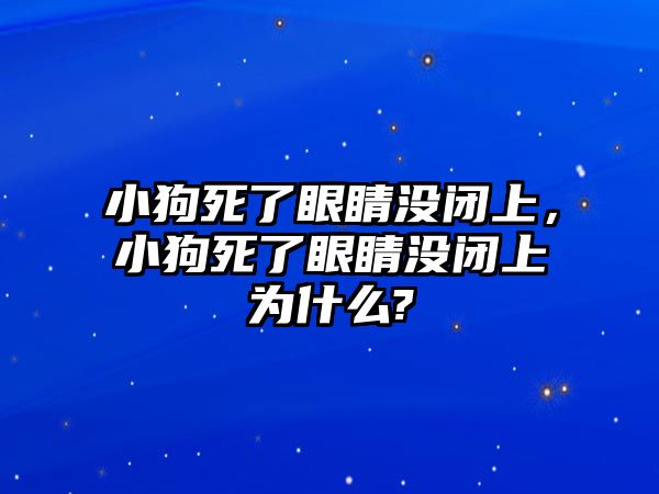 小狗死了眼睛沒閉上，小狗死了眼睛沒閉上為什么?