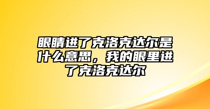 眼睛進(jìn)了克洛克達(dá)爾是什么意思，我的眼里進(jìn)了克洛克達(dá)爾