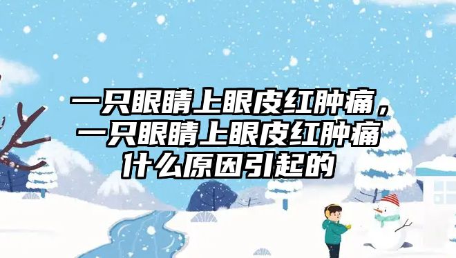 一只眼睛上眼皮紅腫痛，一只眼睛上眼皮紅腫痛什么原因引起的