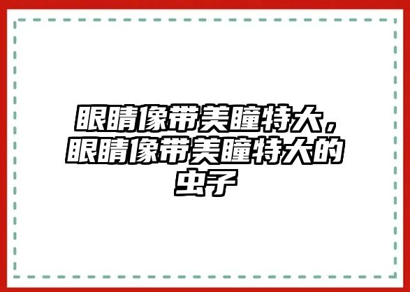 眼睛像帶美瞳特大，眼睛像帶美瞳特大的蟲子