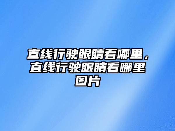 直線行駛眼睛看哪里，直線行駛眼睛看哪里圖片