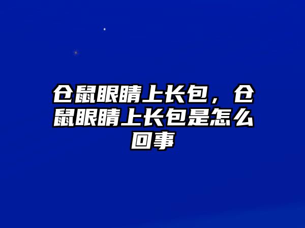 倉鼠眼睛上長包，倉鼠眼睛上長包是怎么回事