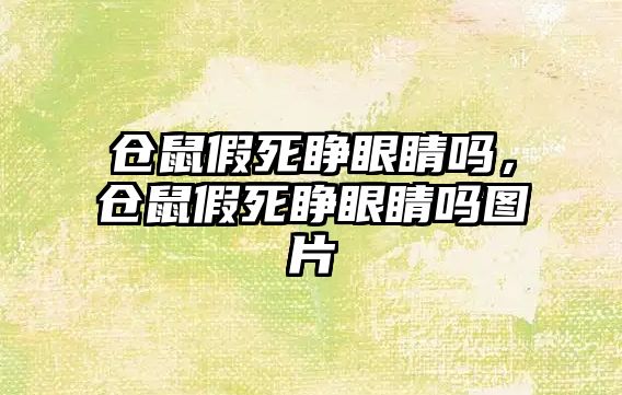 倉鼠假死睜眼睛嗎，倉鼠假死睜眼睛嗎圖片