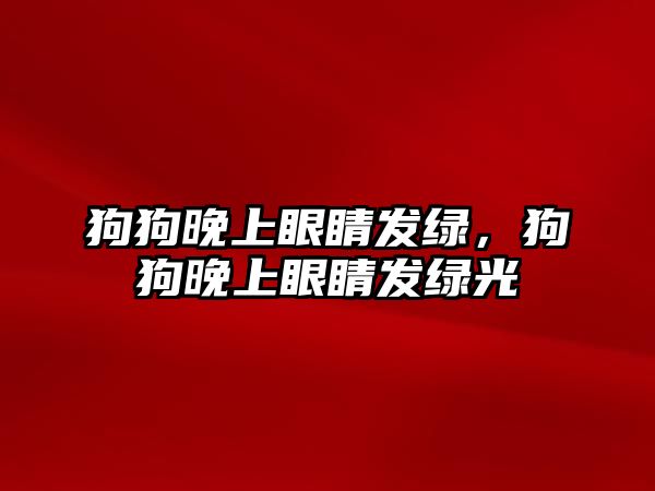 狗狗晚上眼睛發綠，狗狗晚上眼睛發綠光