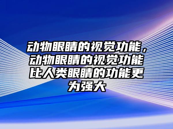 動(dòng)物眼睛的視覺功能，動(dòng)物眼睛的視覺功能比人類眼睛的功能更為強(qiáng)大