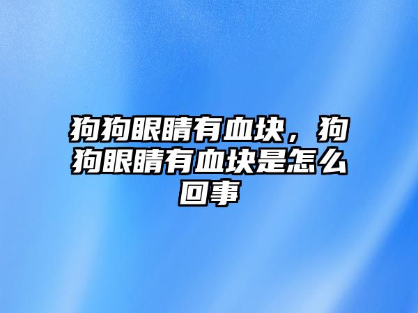 狗狗眼睛有血塊，狗狗眼睛有血塊是怎么回事