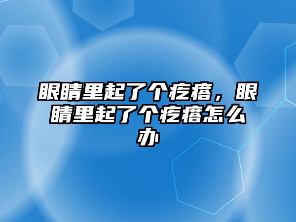 眼睛里起了個疙瘩，眼睛里起了個疙瘩怎么辦