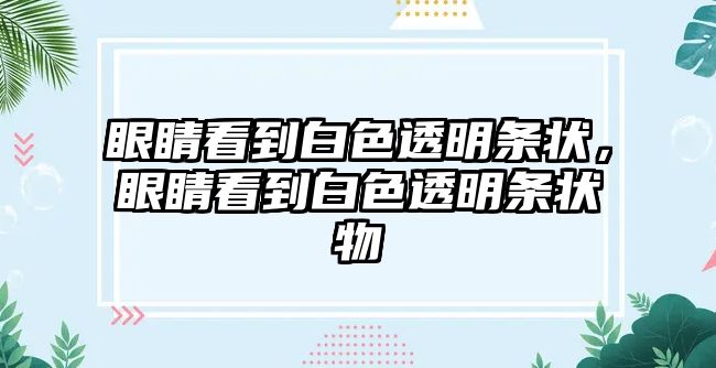 眼睛看到白色透明條狀，眼睛看到白色透明條狀物