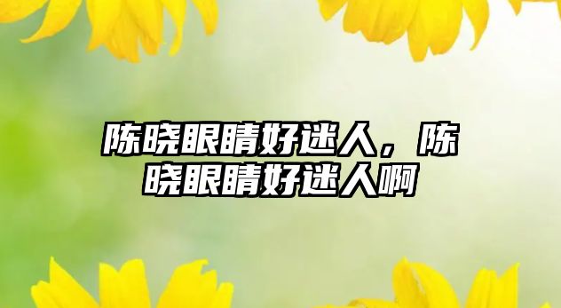 陳曉眼睛好迷人，陳曉眼睛好迷人啊