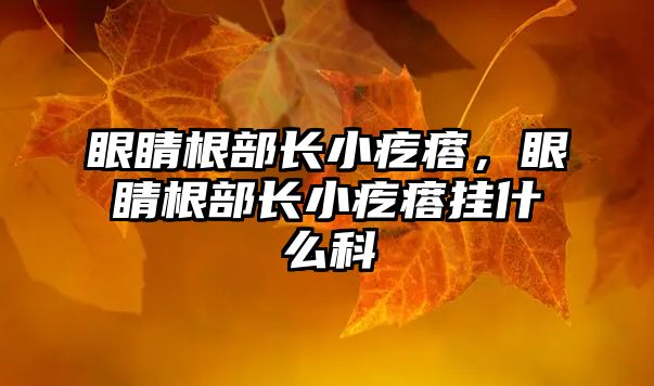 眼睛根部長小疙瘩，眼睛根部長小疙瘩掛什么科