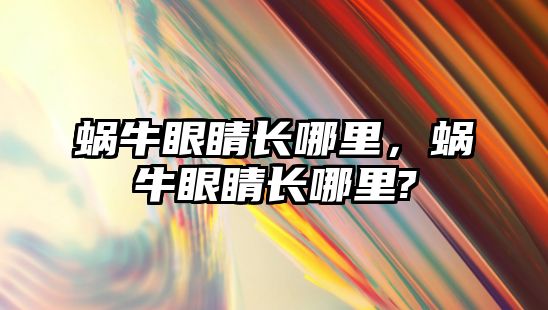 蝸牛眼睛長哪里，蝸牛眼睛長哪里?