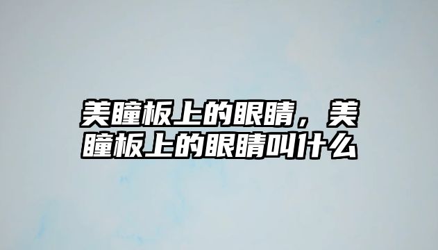 美瞳板上的眼睛，美瞳板上的眼睛叫什么