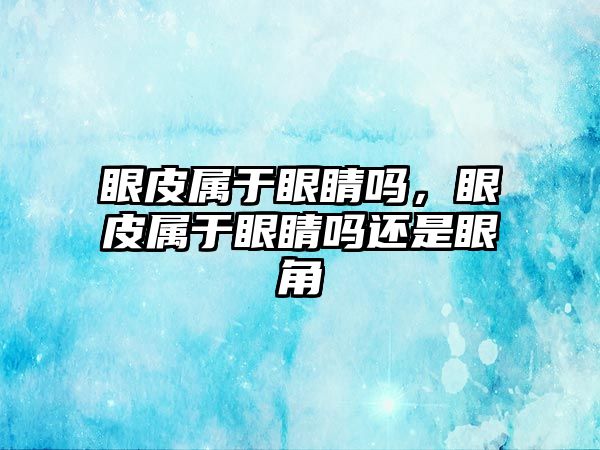 眼皮屬于眼睛嗎，眼皮屬于眼睛嗎還是眼角