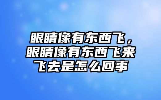 眼睛像有東西飛，眼睛像有東西飛來(lái)飛去是怎么回事