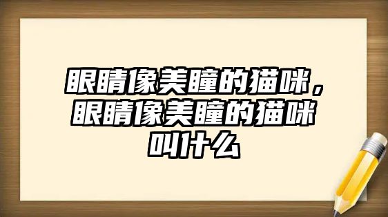 眼睛像美瞳的貓咪，眼睛像美瞳的貓咪叫什么