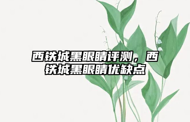 西鐵城黑眼睛評測，西鐵城黑眼睛優缺點