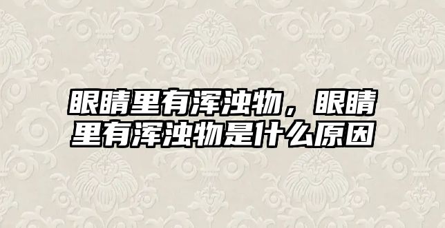 眼睛里有渾濁物，眼睛里有渾濁物是什么原因