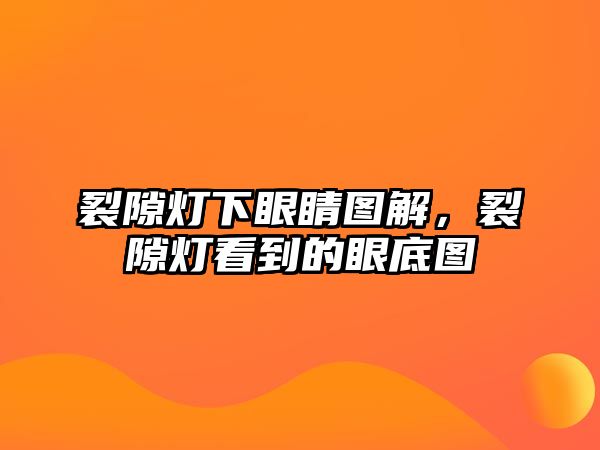 裂隙燈下眼睛圖解，裂隙燈看到的眼底圖