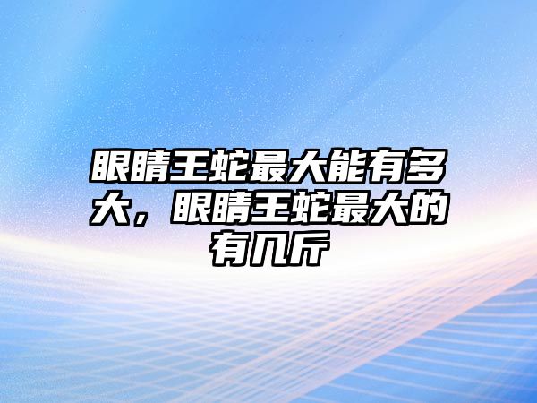 眼睛王蛇最大能有多大，眼睛王蛇最大的有幾斤