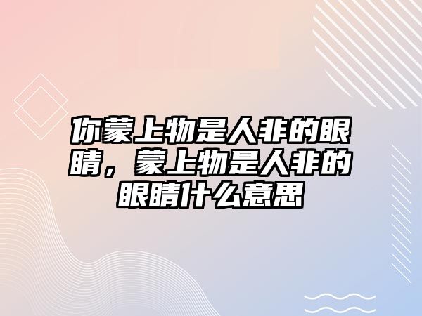 你蒙上物是人非的眼睛，蒙上物是人非的眼睛什么意思