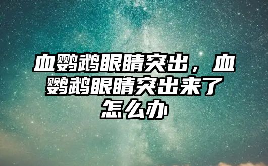 血鸚鵡眼睛突出，血鸚鵡眼睛突出來了怎么辦