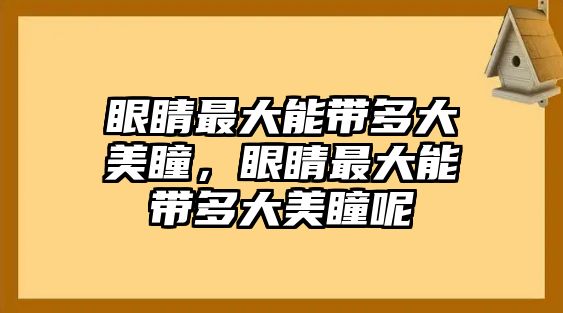 眼睛最大能帶多大美瞳，眼睛最大能帶多大美瞳呢