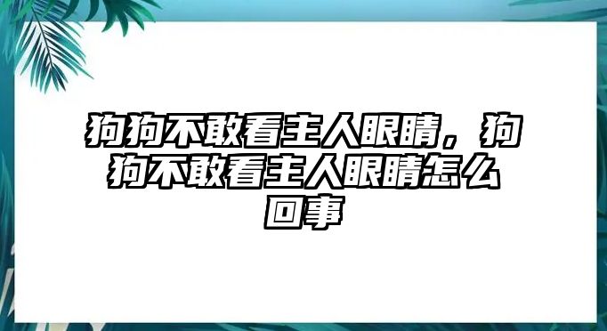 狗狗不敢看主人眼睛，狗狗不敢看主人眼睛怎么回事