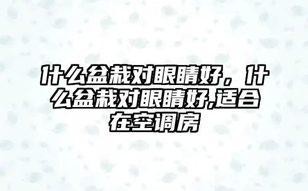 什么盆栽對眼睛好，什么盆栽對眼睛好,適合在空調房