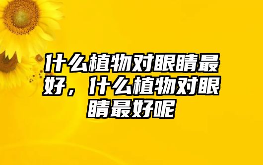 什么植物對眼睛最好，什么植物對眼睛最好呢