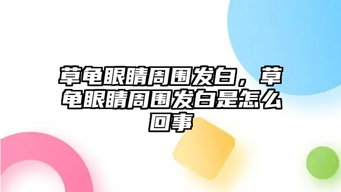 草龜眼睛周圍發白，草龜眼睛周圍發白是怎么回事