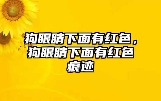 狗眼睛下面有紅色，狗眼睛下面有紅色痕跡