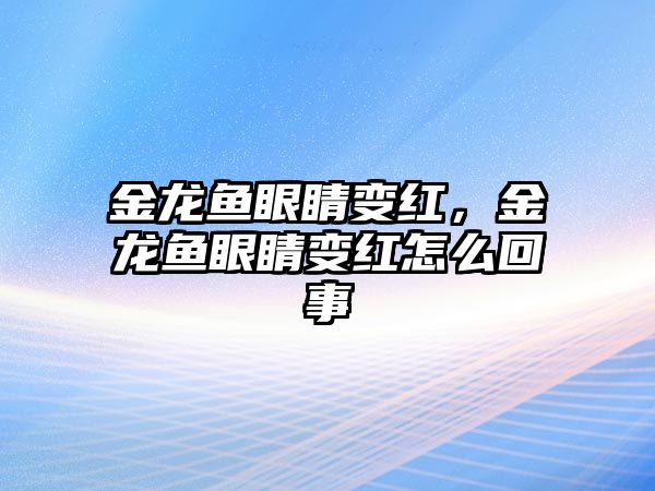 金龍魚眼睛變紅，金龍魚眼睛變紅怎么回事