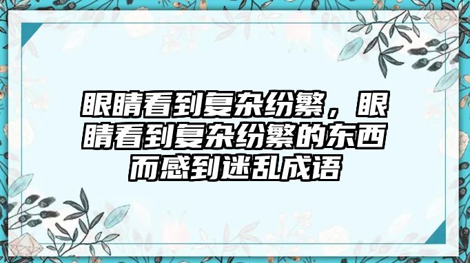 眼睛看到復雜紛繁，眼睛看到復雜紛繁的東西而感到迷亂成語