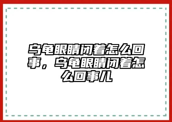 烏龜眼睛閉著怎么回事，烏龜眼睛閉著怎么回事兒