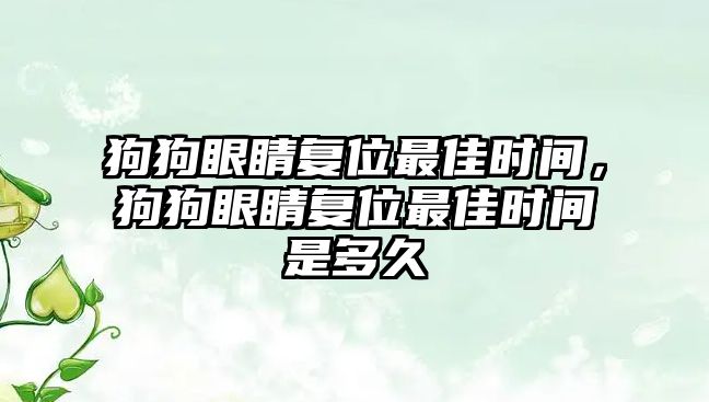 狗狗眼睛復位最佳時間，狗狗眼睛復位最佳時間是多久