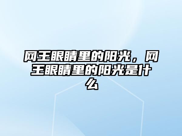 網王眼睛里的陽光，網王眼睛里的陽光是什么