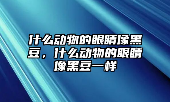 什么動物的眼睛像黑豆，什么動物的眼睛像黑豆一樣