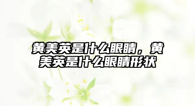 黃美英是什么眼睛，黃美英是什么眼睛形狀